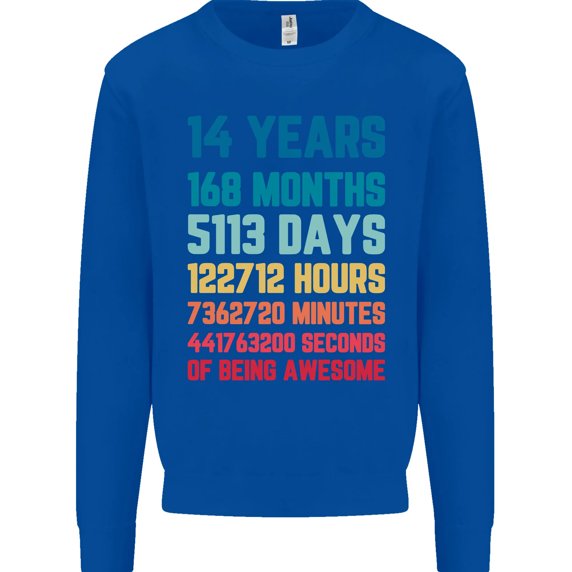 14th Birthday 14 Year Old Kids Sweatshirt Jumper