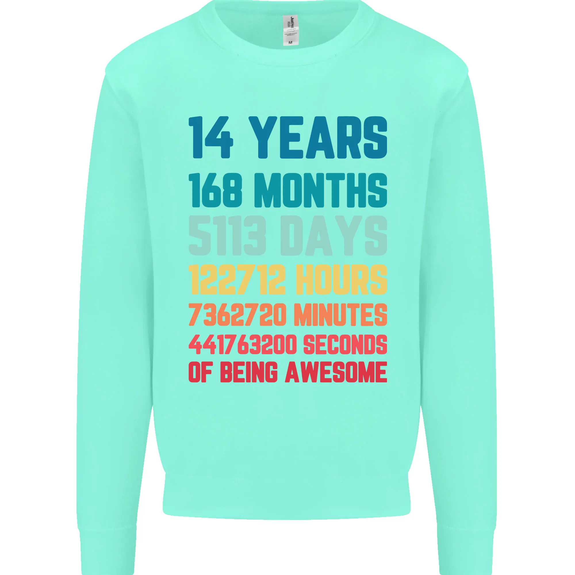 14th Birthday 14 Year Old Kids Sweatshirt Jumper