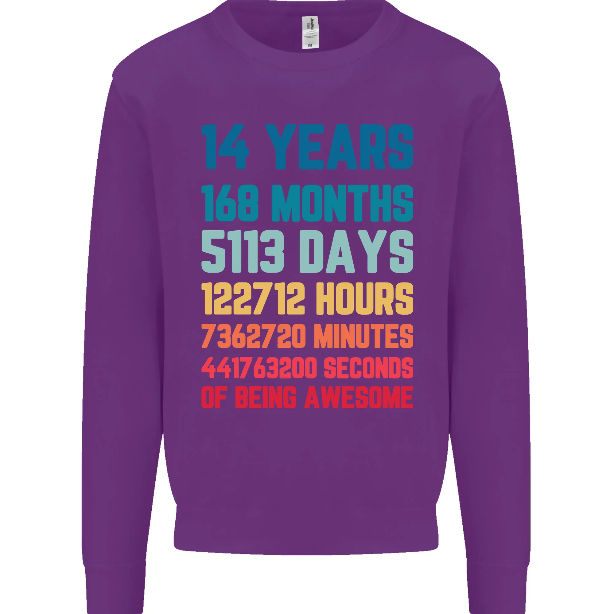14th Birthday 14 Year Old Kids Sweatshirt Jumper