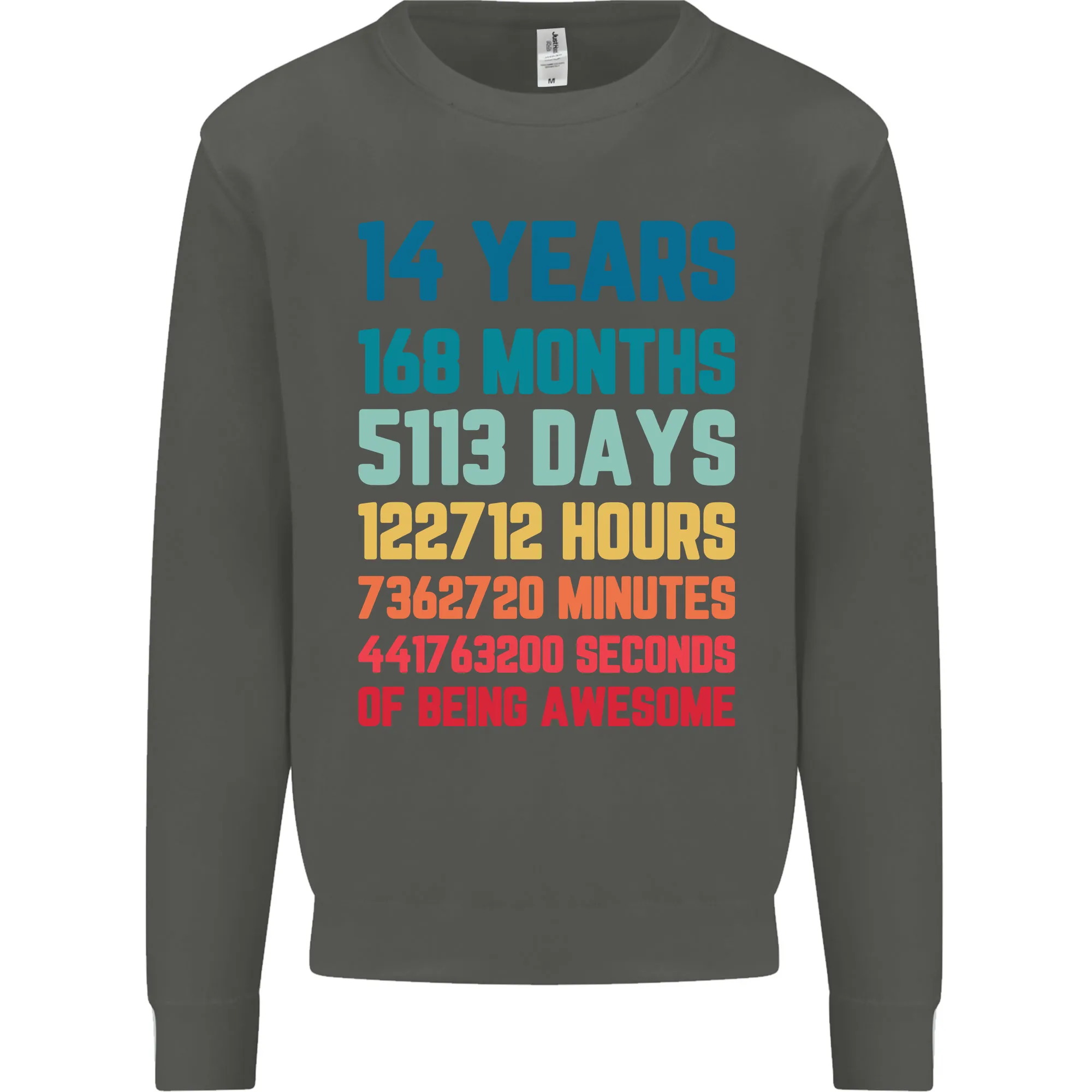 14th Birthday 14 Year Old Kids Sweatshirt Jumper