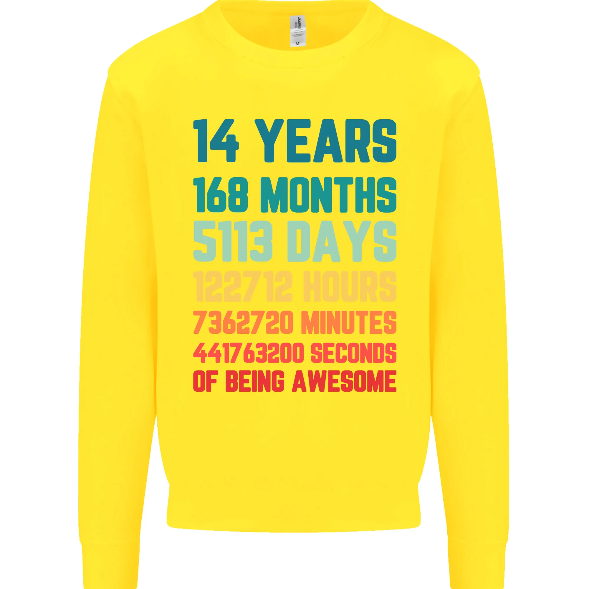 14th Birthday 14 Year Old Kids Sweatshirt Jumper