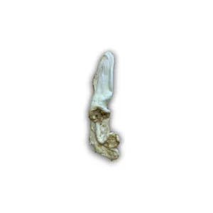 Anco Naturals Puffed Rabbit Ears