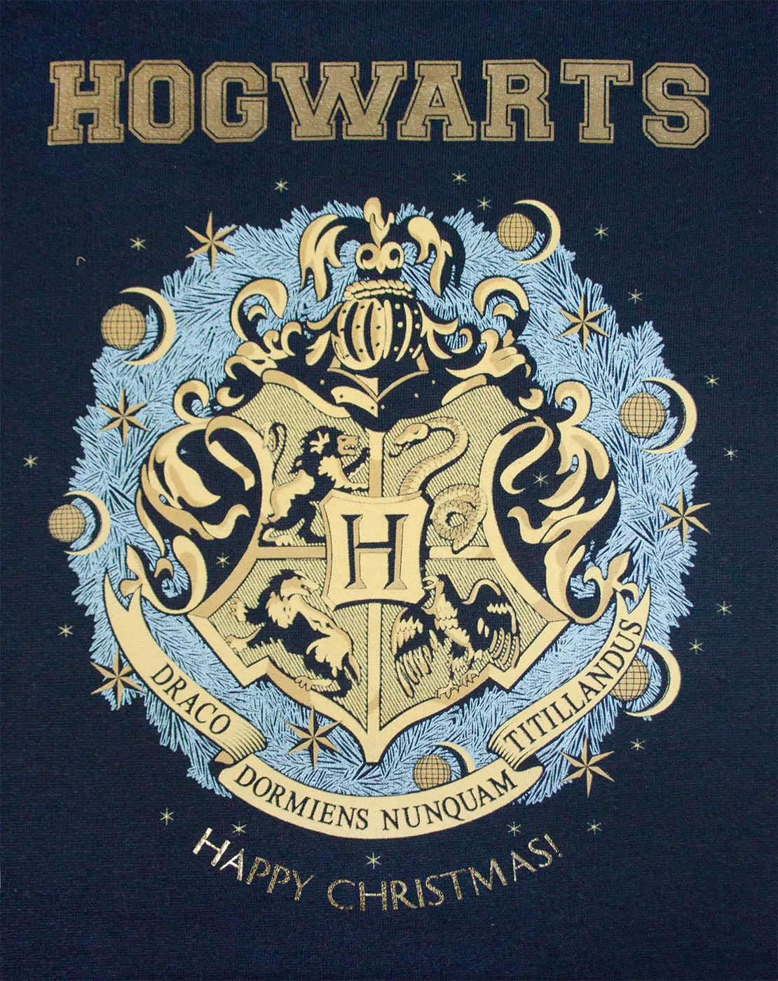 Harry Potter Hogwarts Crest Christmas Jumper for Men and Women - Navy