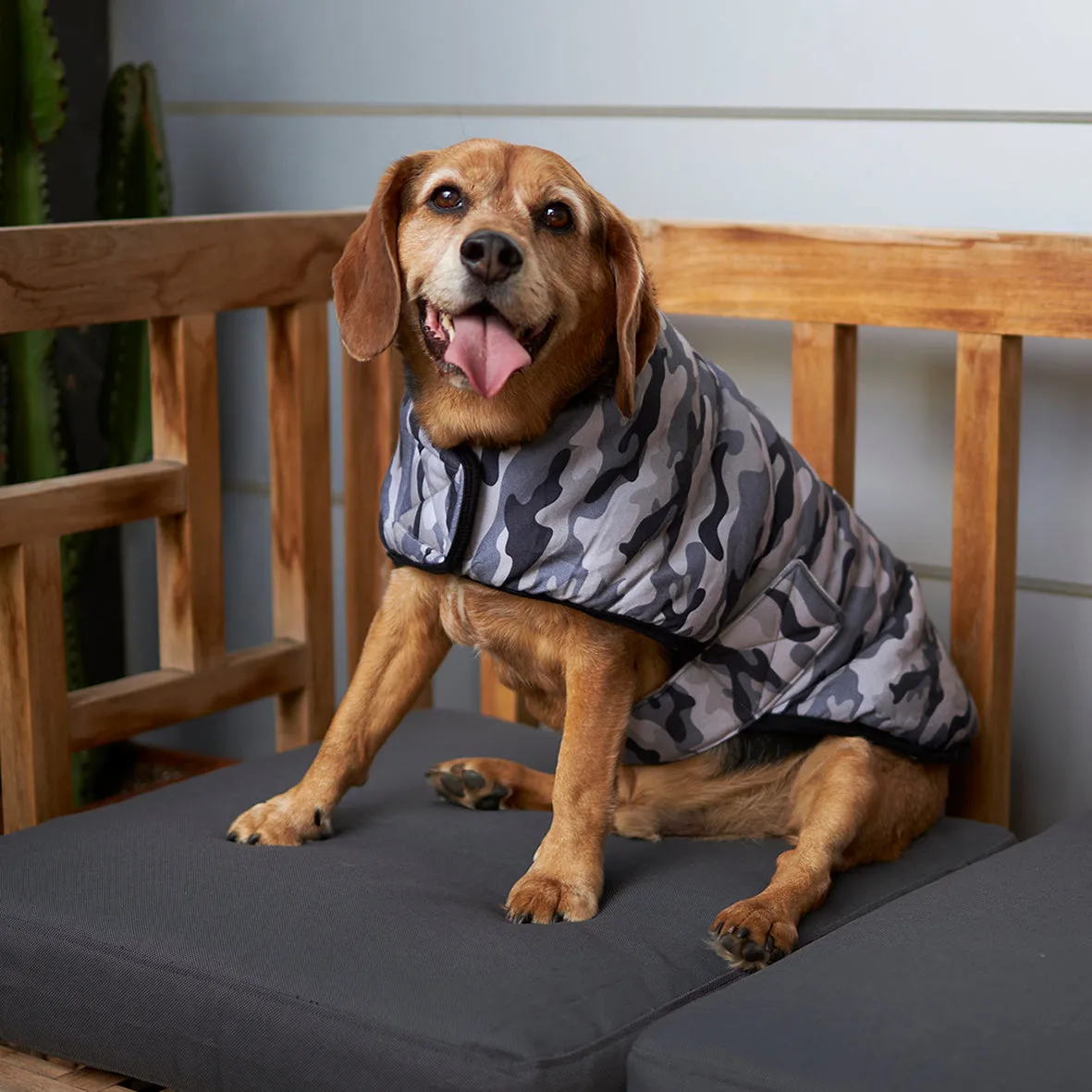 Jungle Dog Snuggie
