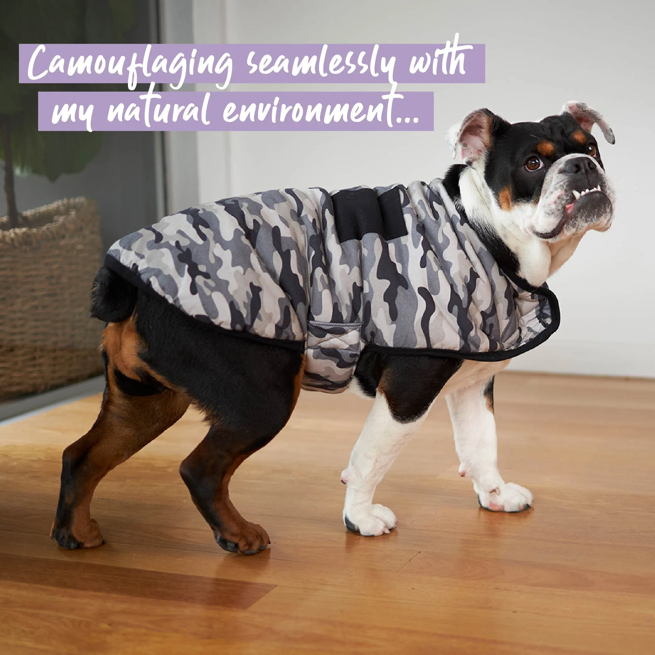 Jungle Dog Snuggie