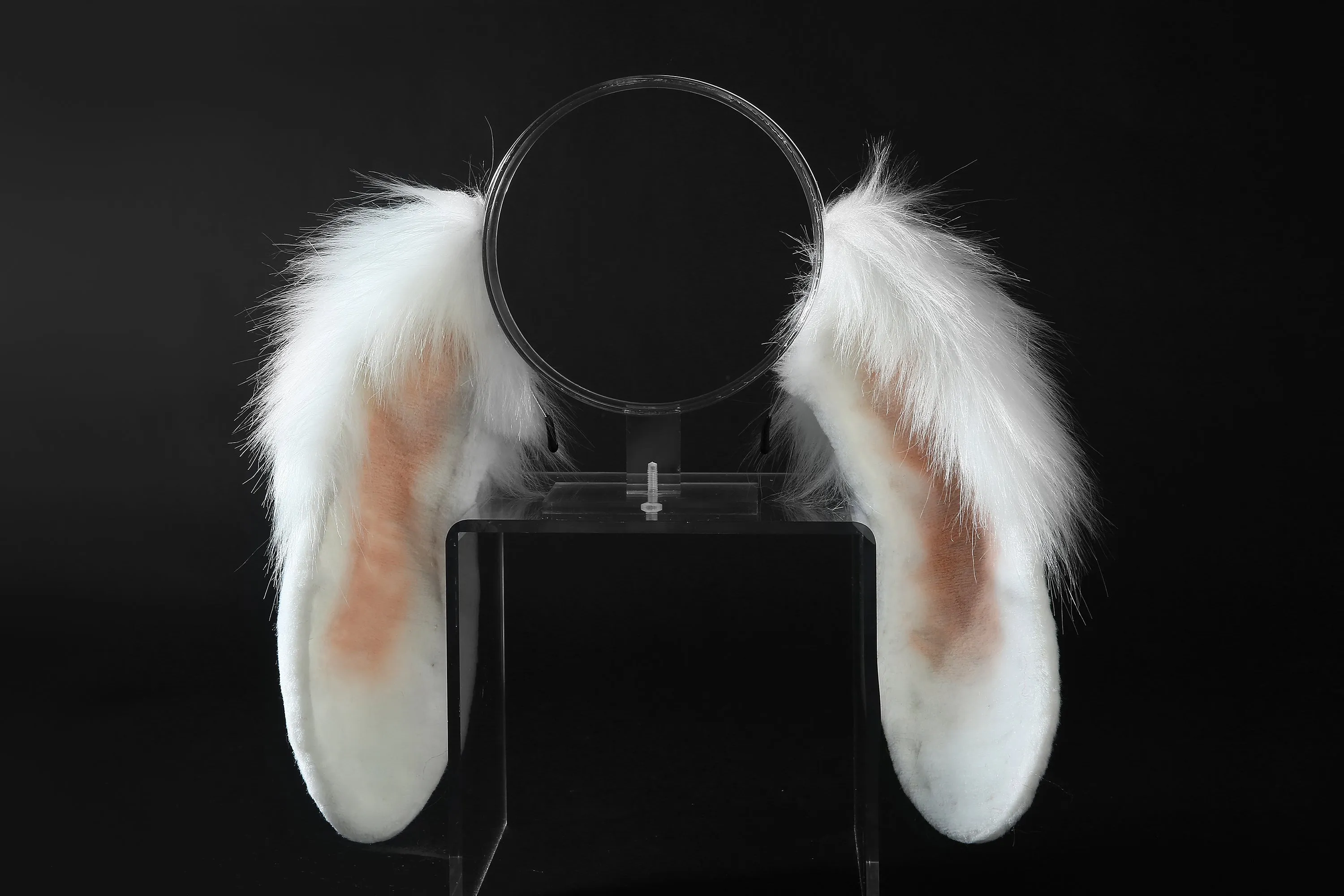 White lop bunny ear and tail plug rabbit